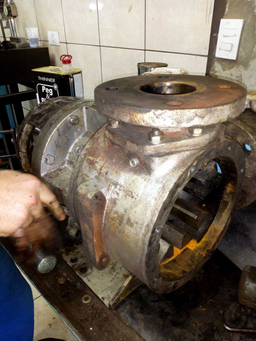 Tuthill GG 250 antes da recuperação